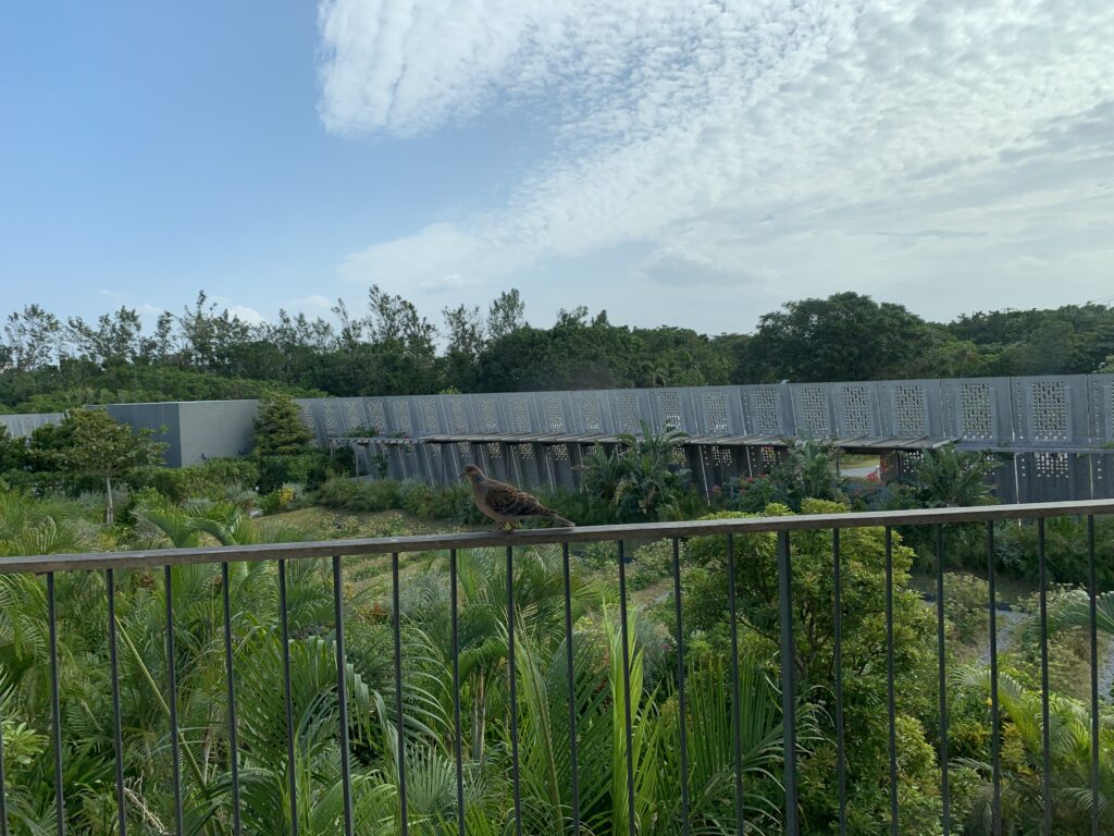 城ウォール